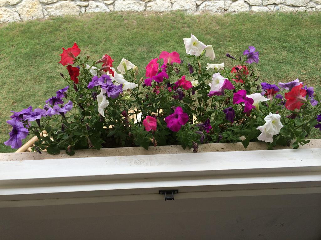 Alacati Roka Hotel 객실 사진