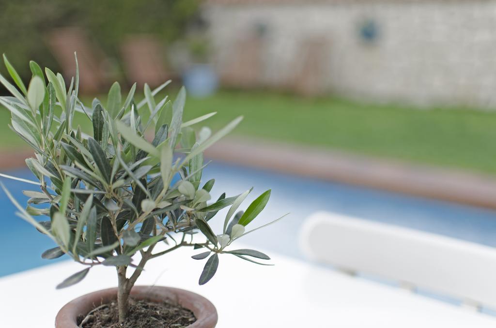 Alacati Roka Hotel 외부 사진